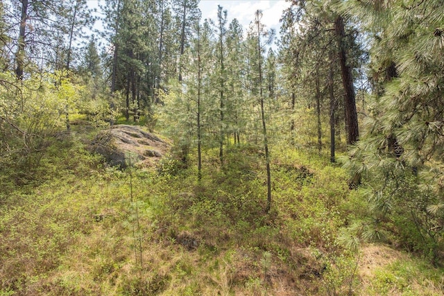 view of nature with a forest view