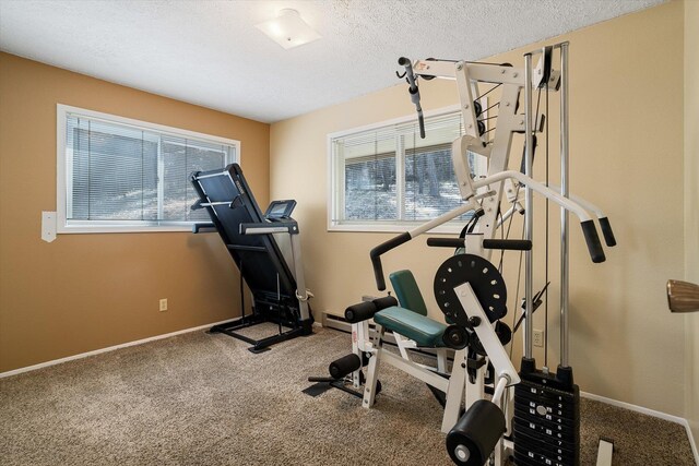 exercise area featuring baseboards, a wealth of natural light, and carpet