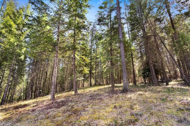 view of landscape featuring a wooded view