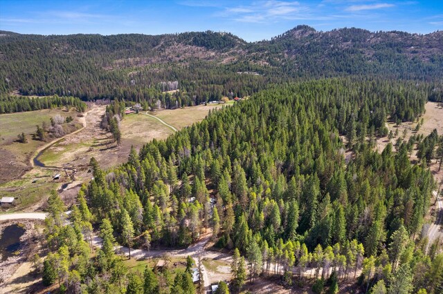 aerial view with a view of trees and a mountain view