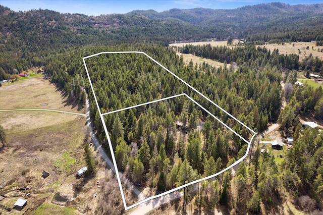 drone / aerial view featuring a forest view and a mountain view