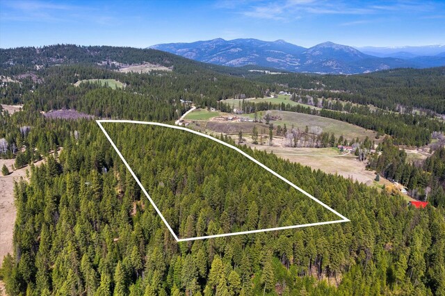 bird's eye view with a mountain view and a wooded view