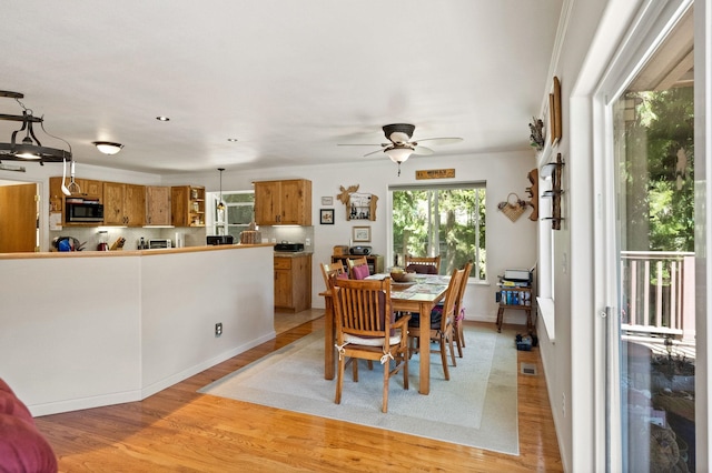 dining room featuring light wood-style floors and ceiling fan
