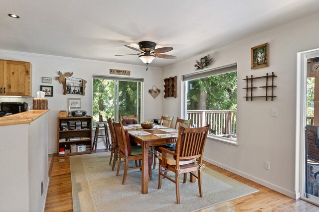 dining space with light wood finished floors, a ceiling fan, and a wealth of natural light