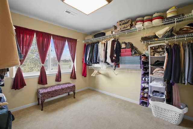 4127 S Sullivan Rd, Veradale, WA 99037 - walk in closet with carpet flooring and visible vents