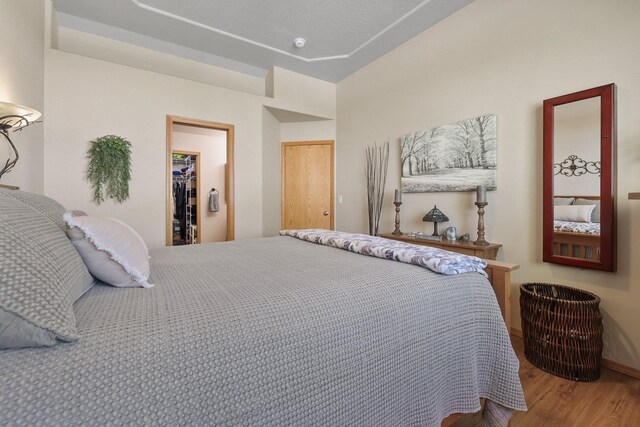 bedroom featuring baseboards, wood finished floors, a spacious closet, and a closet