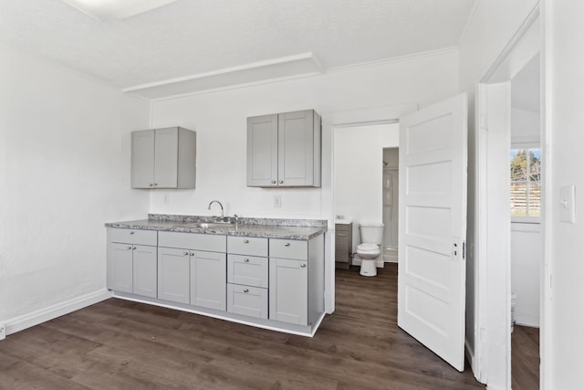 kitchen with a sink, gray cabinets, dark wood finished floors, baseboards, and ornamental molding