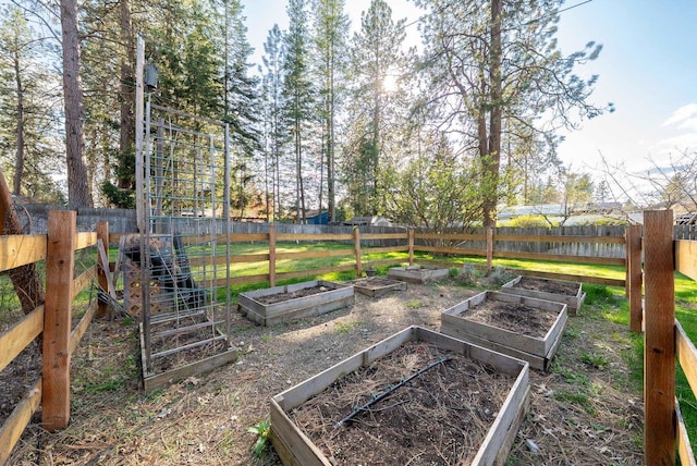 view of yard with a vegetable garden and a fenced backyard