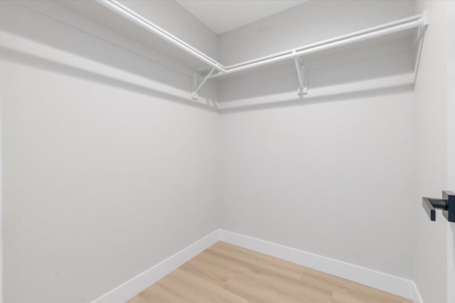 walk in closet featuring light wood finished floors