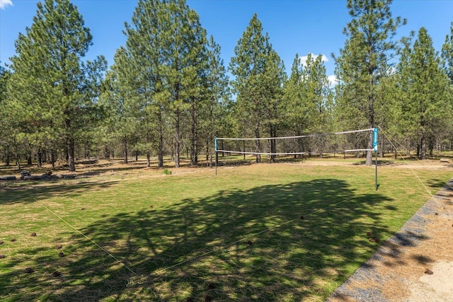 27603 N Bruce Rd, Chattaroy, WA 99003 - view of home's community with volleyball court and a lawn