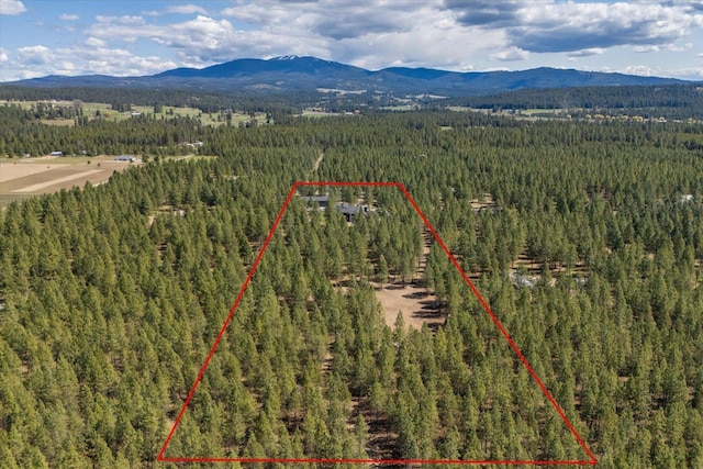 27603 N Bruce Rd, Chattaroy, WA 99003 - birds eye view of property featuring a view of trees and a mountain view