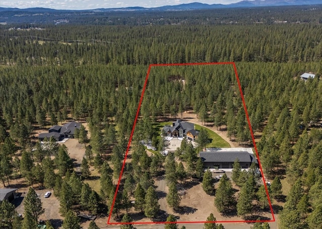 27603 N Bruce Rd, Chattaroy, WA 99003 - drone / aerial view featuring a forest view and a mountain view