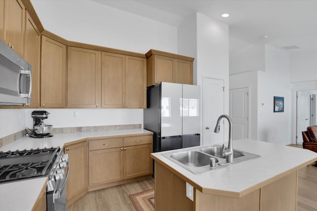 kitchen with stainless steel appliances, light countertops, a sink, light wood-type flooring, and a center island with sink