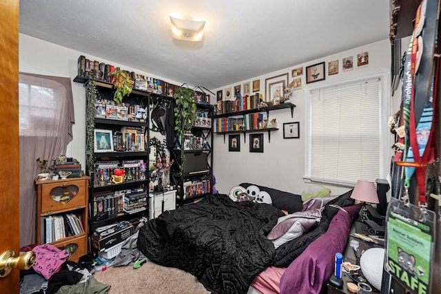 bedroom featuring carpet