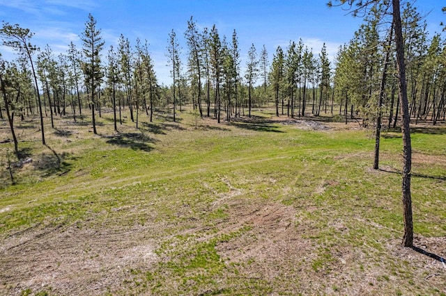 5742 Corkscrew Canyon Rd Lot # 3, Tumtum, WA 99034 - photo 2
