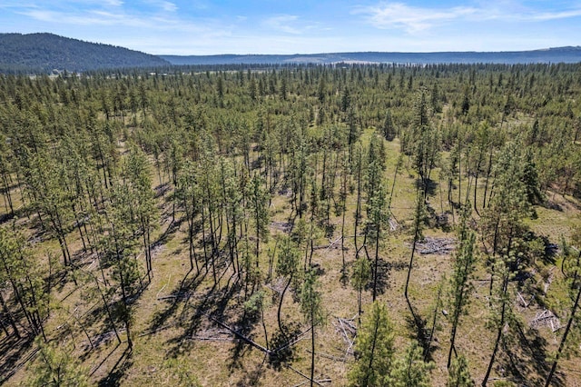 5742 Corkscrew Canyon Rd Lot # 3, Tumtum, WA 99034 - photo 11