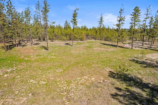 5742 Corkscrew Canyon Rd Lot # 3, Tumtum, WA 99034 - photo 3
