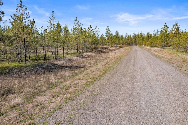5742 Corkscrew Canyon Rd Lot # 3, Tumtum, WA 99034 - photo 4