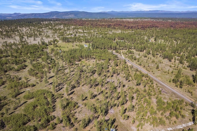 5742 Corkscrew Canyon Rd Lot # 3, Tumtum, WA 99034 - photo 7