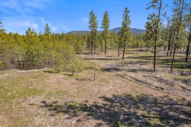 5742 Corkscrew Canyon Rd Lot # 3, Tumtum, WA 99034 - photo 10