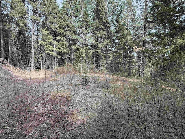 NNA Buck Creek Rd, Loon Lake, WA 99148 - photo 1
