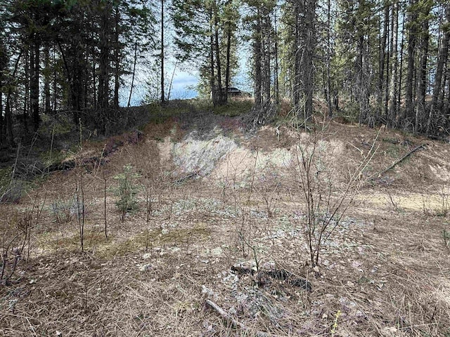 NNA Buck Creek Rd, Loon Lake, WA 99148 - photo 2