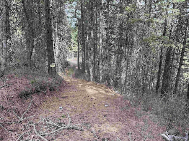 NNA Buck Creek Rd, Loon Lake, WA 99148 - photo 3