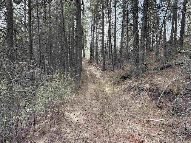 NNA Buck Creek Rd, Loon Lake, WA 99148 - photo 4