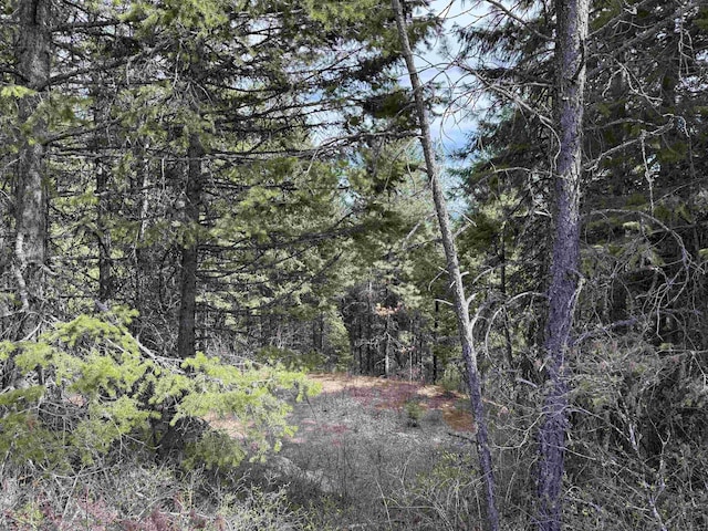 NNA Buck Creek Rd, Loon Lake, WA 99148 - photo 5