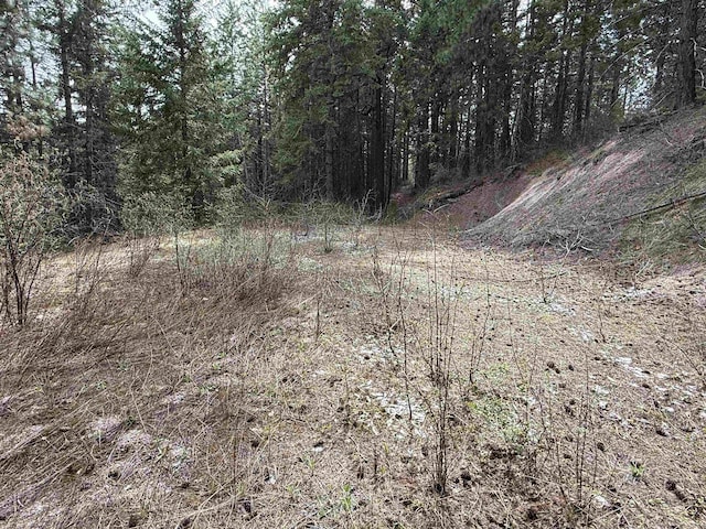 NNA Buck Creek Rd, Loon Lake, WA 99148 - photo 6