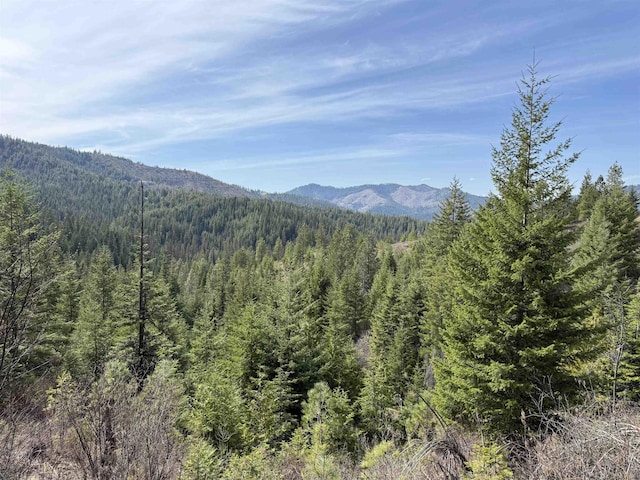 NNA Buck Creek Rd, Loon Lake, WA 99148 - photo 7