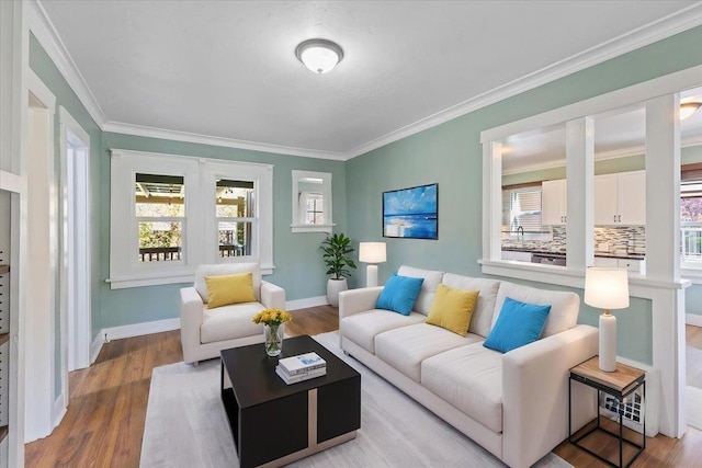 living room with ornamental molding, wood finished floors, and a healthy amount of sunlight
