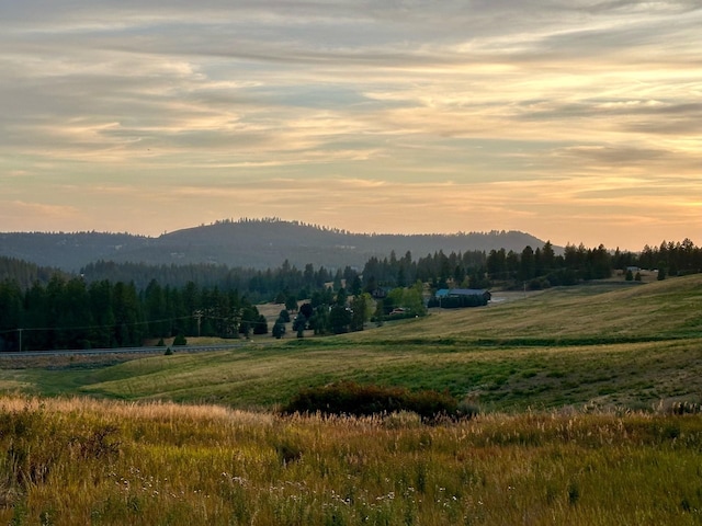 10900 S Silver Hill Rd, Spokane, WA 99223