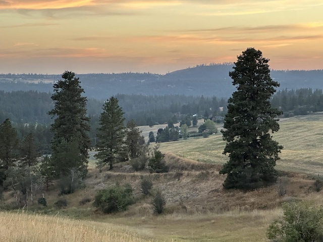 10900 S Silver Hill Rd, Spokane, WA 99223