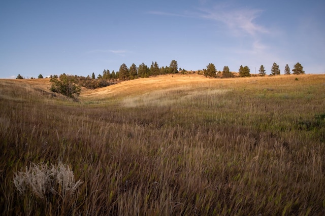 10900 S Silver Hill Rd, Spokane, WA 99223