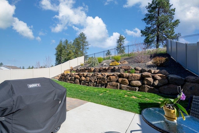 view of yard featuring a patio and a fenced backyard