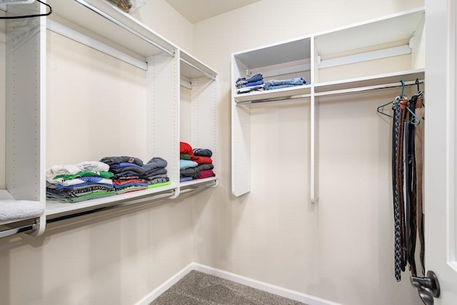 spacious closet with carpet floors