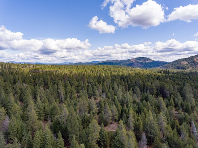 205 W Telephone Rd, Newport, WA 99156