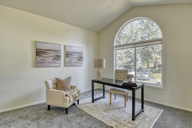 1814 S Viewcrest Ln Unit 1814, Spokane Valley, WA 99212 - office with carpet floors, vaulted ceiling, and baseboards