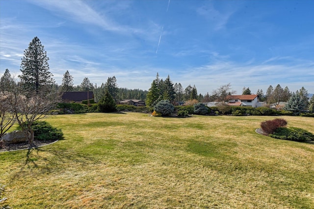 1814 S Viewcrest Ln Unit 1814, Spokane Valley, WA 99212 - view of green lawn