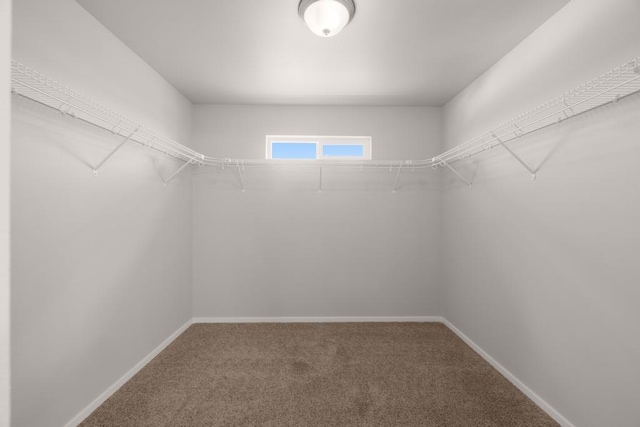 1102 S Best Rd, Spokane Valley, WA 99037 - spacious closet with carpet floors