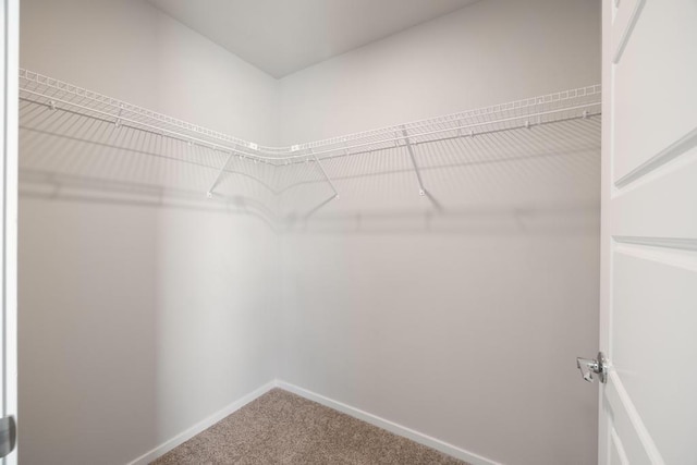 1102 S Best Rd, Spokane Valley, WA 99037 - walk in closet featuring carpet flooring