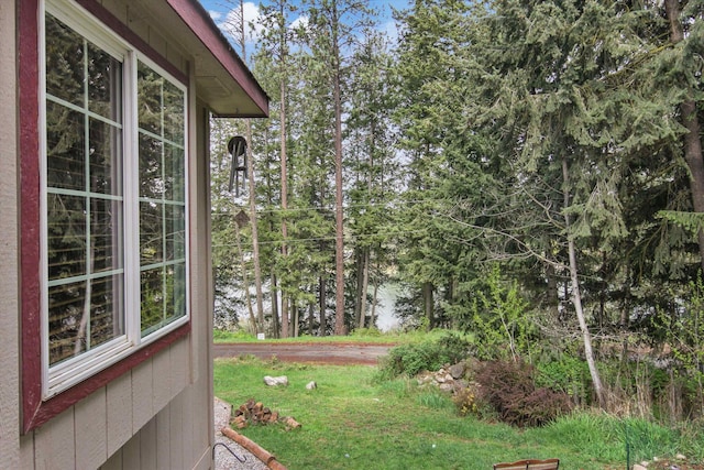 9306 E Lake Rd, Elk, WA 99009 - view of yard