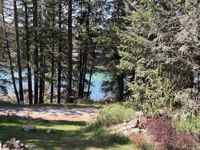 9306 E Lake Rd, Elk, WA 99009 - view of nature featuring a view of trees