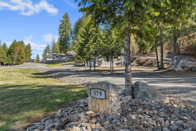 view of street with driveway