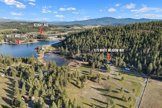 aerial view featuring a water and mountain view and a wooded view