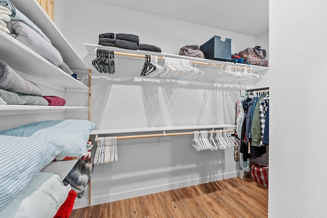 walk in closet featuring wood finished floors