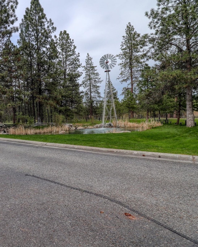 3319 E Elena Ln, Chattaroy, WA 99003 - view of street
