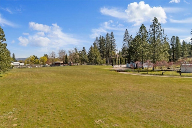 view of property's community featuring a yard