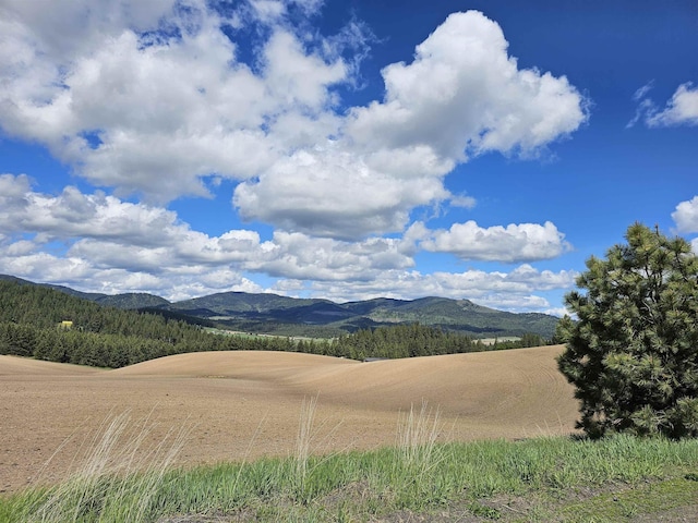 000 E Horton Rd, Rockford, WA 99030